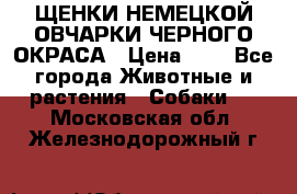 ЩЕНКИ НЕМЕЦКОЙ ОВЧАРКИ ЧЕРНОГО ОКРАСА › Цена ­ 1 - Все города Животные и растения » Собаки   . Московская обл.,Железнодорожный г.